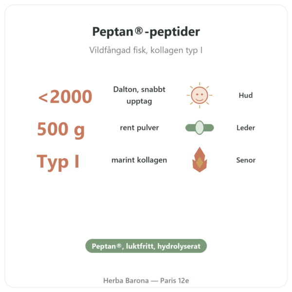 Marint kollagen hydrolyserat pulver – peptider – Dynveo fördelar och nyckelfakta Paris Herba Barona