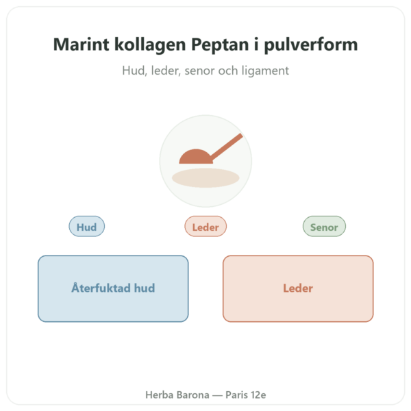 Marint kollagen hydrolyserat pulver – peptider – Dynveo presentation Paris Herba Barona