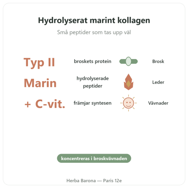 Marint Kollagen Typ II Vital Osmose i kapslar fördelar och nyckelfakta Paris Herba Barona