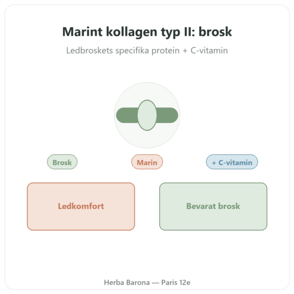 Marint Kollagen Typ II Vital Osmose i kapslar presentation Paris Herba Barona