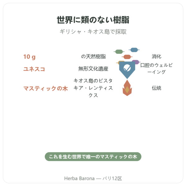 キオス島のマスティハ 10 g benefits and key facts Paris Herba Barona