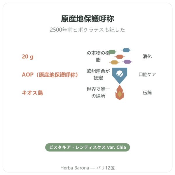 キオス島のマスティハ(乳香樹脂) – 20g benefits and key facts Paris Herba Barona