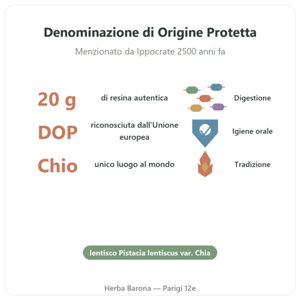 Mastice dell'Isola di Chio – 20g benefici e dati chiave Paris Herba Barona