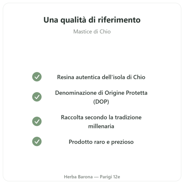 Mastice dell'Isola di Chio – 20g qualità Paris Herba Barona