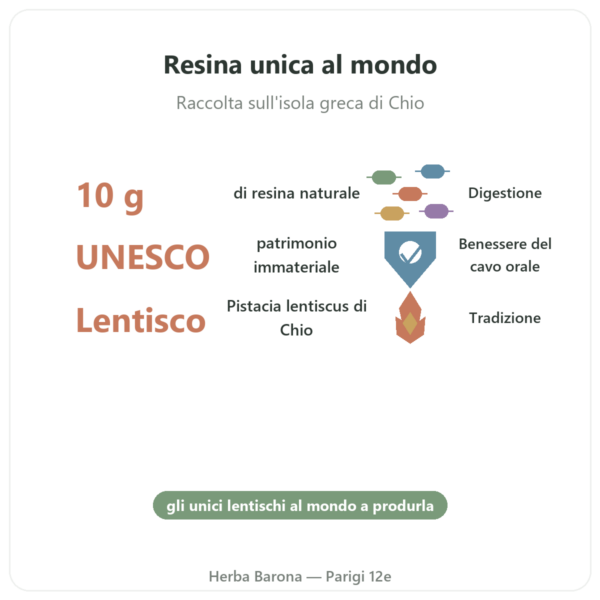 Mastice dell'isola di Chio 10 g benefici e dati chiave Paris Herba Barona