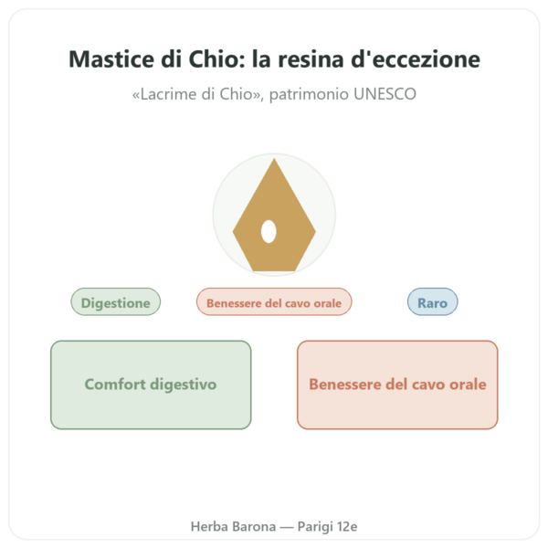 Mastice dell'isola di Chio 10 g presentazione Paris Herba Barona