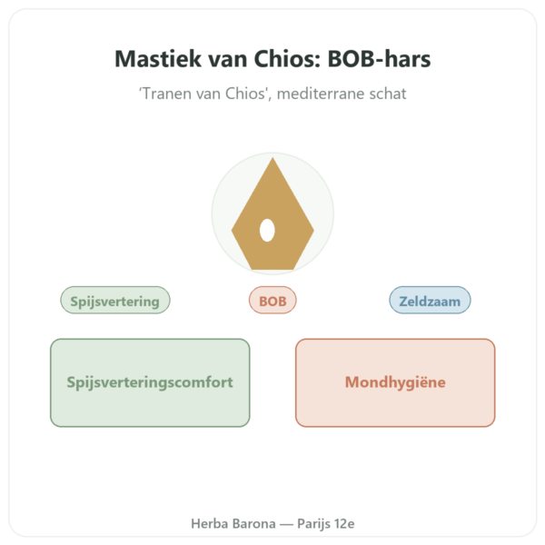 Mastiek van het Eiland Chios – 20g presentatie Paris Herba Barona