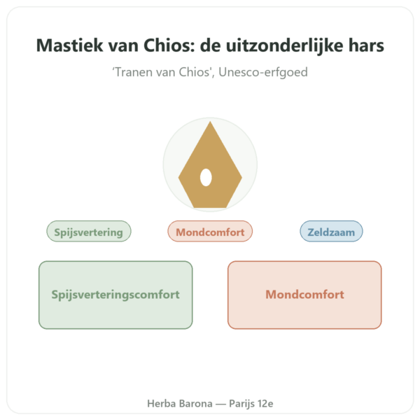 Mastiek van het eiland Chios – 10 g presentatie Paris Herba Barona