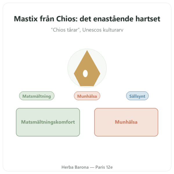 Mastik från Chios 10 g presentation Paris Herba Barona