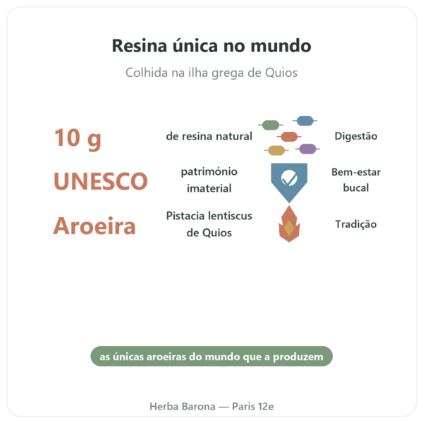 Mástique da Ilha de Chios 10 g benefícios e dados principais Paris Herba Barona