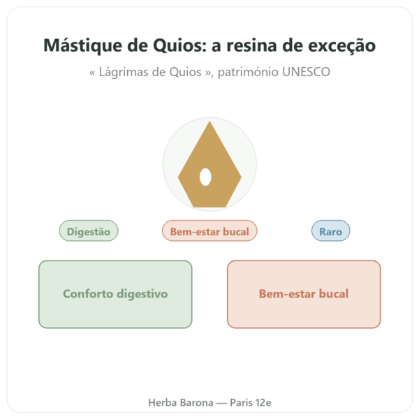 Mástique da Ilha de Chios 10 g apresentação Paris Herba Barona