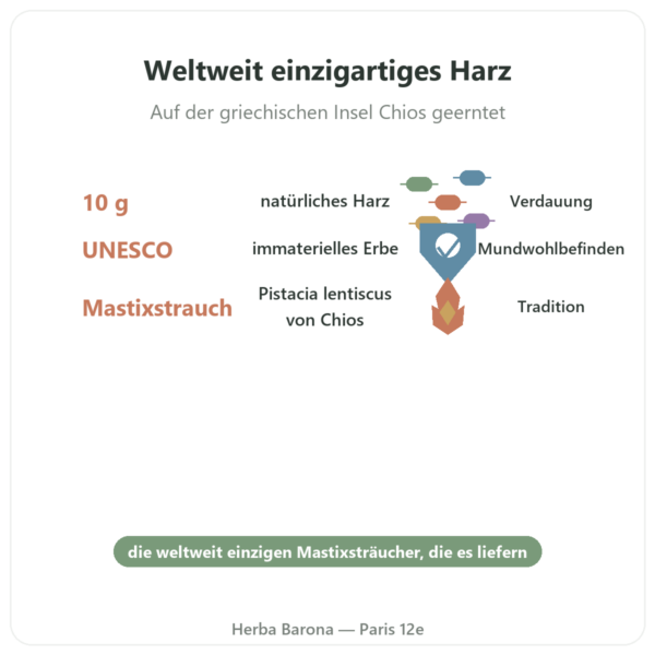 Mastix aus Chios – 10 g Vorteile und Fakten Paris Herba Barona