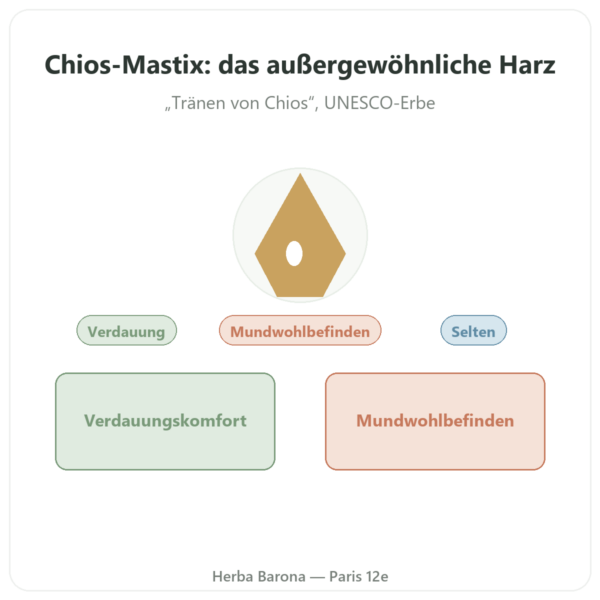 Mastix aus Chios – 10 g Vorstellung Paris Herba Barona