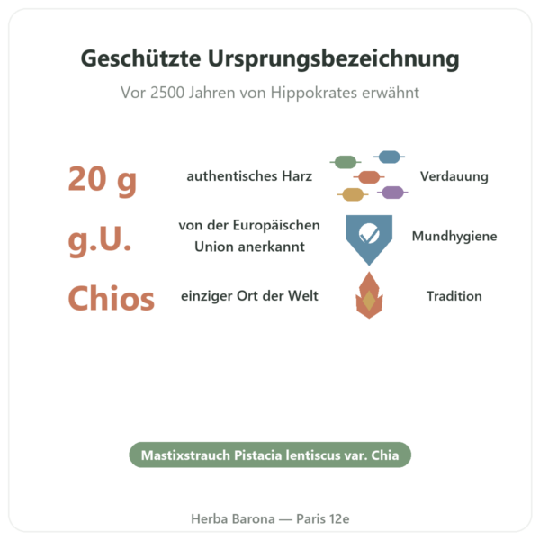 Mastix von der Insel Chios – 20 g Vorteile und Fakten Paris Herba Barona