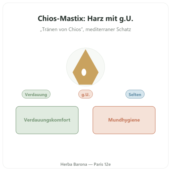 Mastix von der Insel Chios – 20 g Vorstellung Paris Herba Barona
