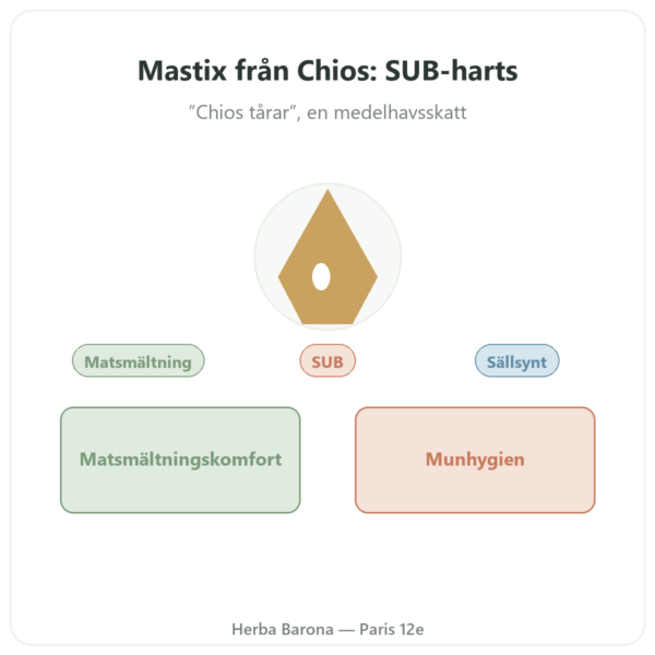 Mastix från Ön Chios – 20g presentation Paris Herba Barona