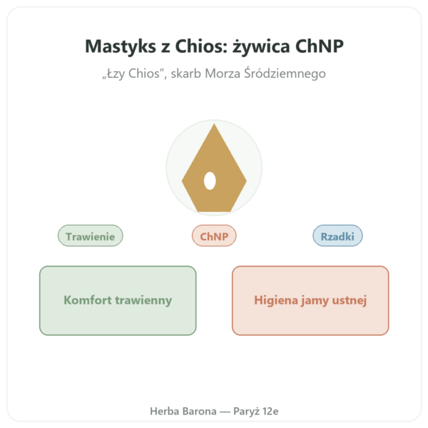 Mastyks z Wyspy Chios – 20 g prezentacja Paris Herba Barona