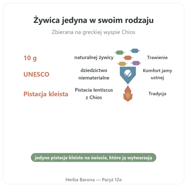 Mastyks z Wyspy Chios 10 g korzyści i najważniejsze fakty Paris Herba Barona