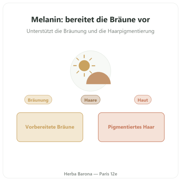 Melanin Mélaline® Keratin-Peptide – Dynveo – 60 Kapseln Vorstellung Paris Herba Barona