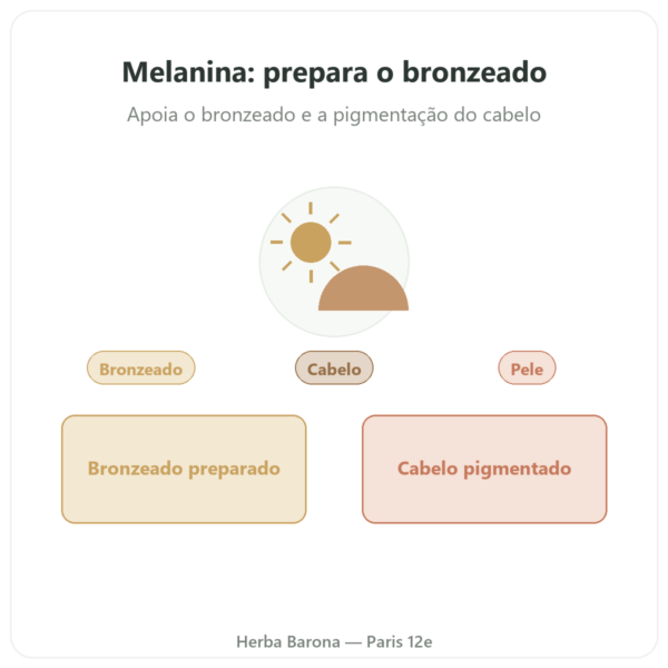 Melanina Dynveo 350mg Péptidos Hidrolisados 60 cápsulas apresentação Paris Herba Barona