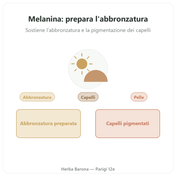 Melanina Dynveo 350mg Peptidi Idrolizzati 60 capsule presentazione Paris Herba Barona