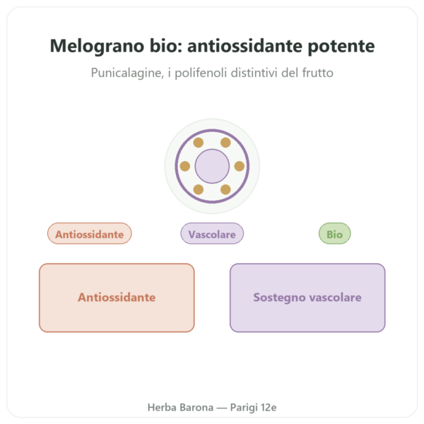 Melograno BIO Dynveo – 375 mg – 60 capsule – 30% Punicalagine – 50% Polifenoli presentazione Paris Herba Barona