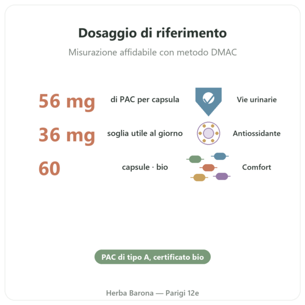 Mirtillo Rosso bio (Cranberry) Dynveo 56 mg PACs 60 capsule benefici e dati chiave Paris Herba Barona