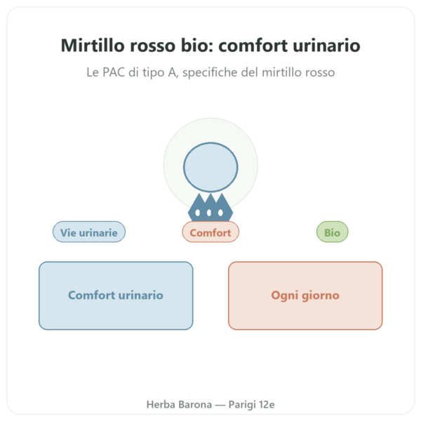 Mirtillo Rosso bio (Cranberry) Dynveo 56 mg PACs 60 capsule presentazione Paris Herba Barona