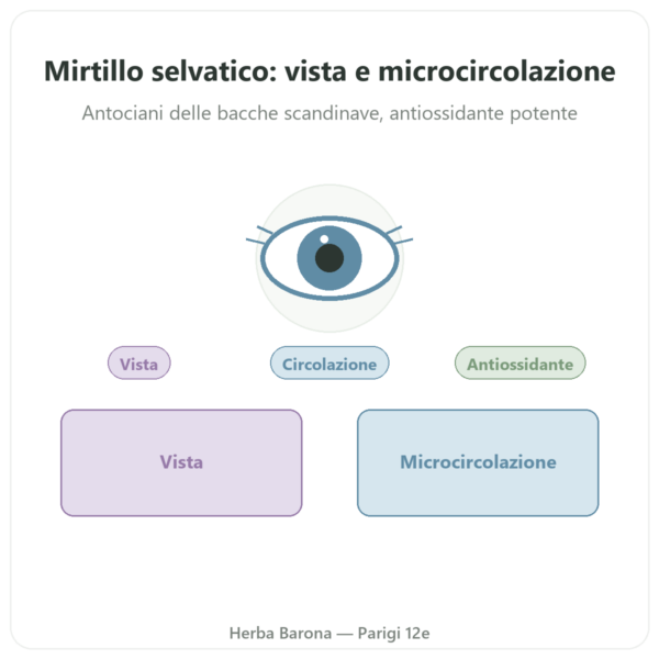 Mirtillo selvatico estratto – Dynveo – 60 capsule presentazione Paris Herba Barona
