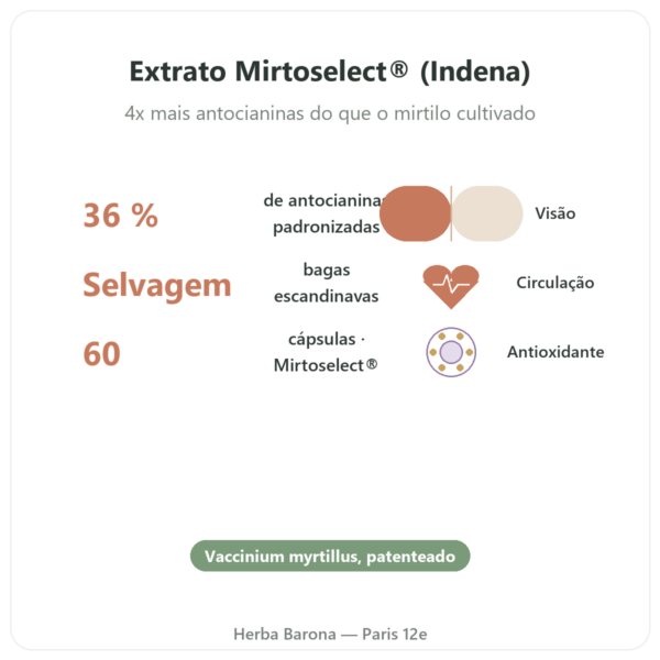 Mirtilo selvagem extrato – Dynveo – 60 cápsulas benefícios e dados principais Paris Herba Barona