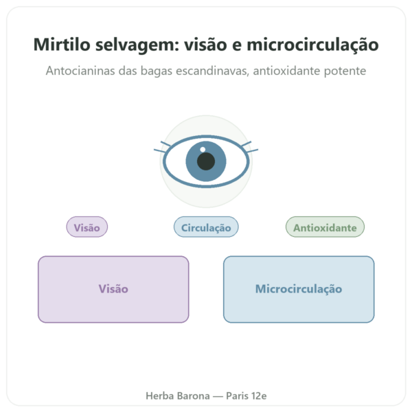 Mirtilo selvagem extrato – Dynveo – 60 cápsulas apresentação Paris Herba Barona