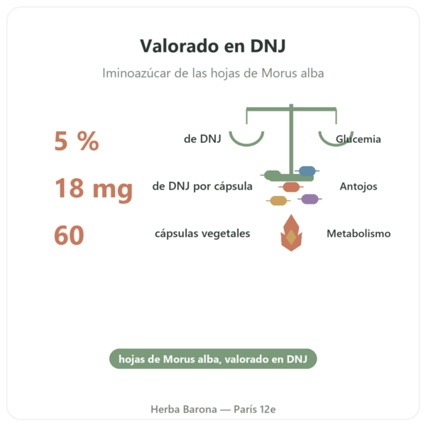 Morera Blanca – titulada al 5% en DNJ – 60 cápsulas – Dynveo beneficios y datos clave Paris Herba Barona