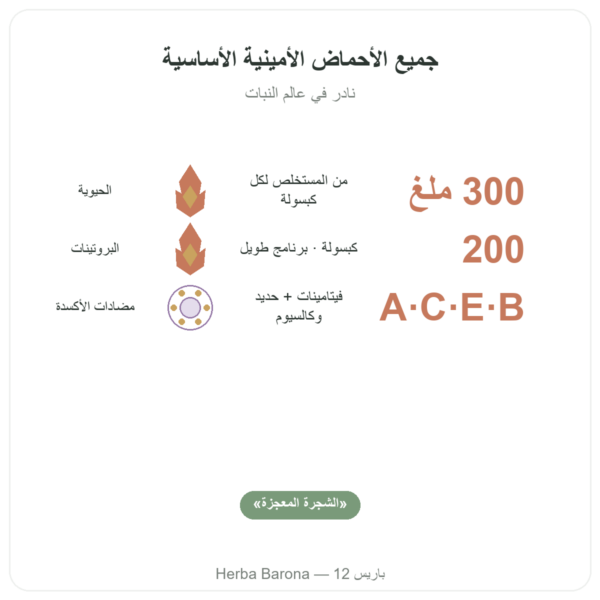 مورينجا مركزة 300 mg – 200 كبسولة الفوائد والمعطيات الرئيسية Paris Herba Barona