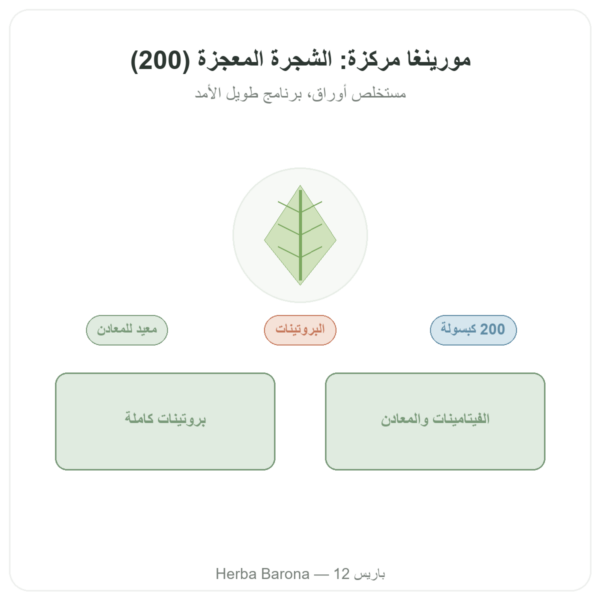 مورينجا مركزة 300 mg – 200 كبسولة عرض المنتج Paris Herba Barona