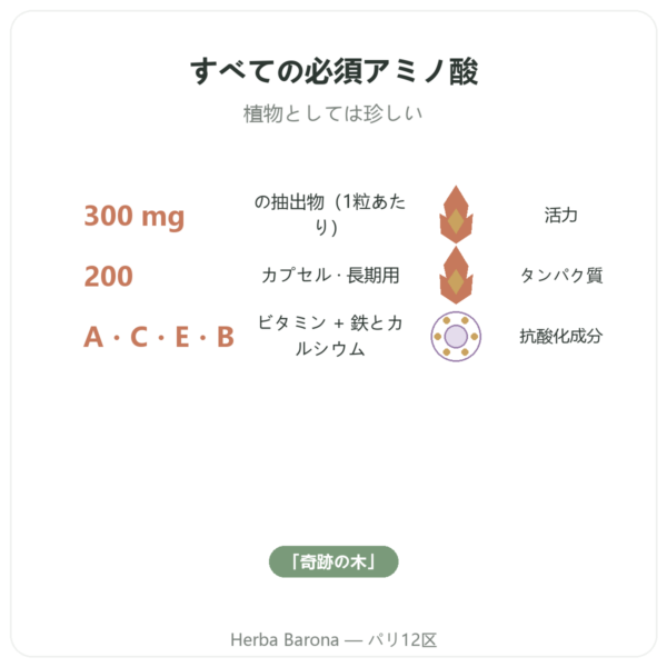 モリンガ濃縮 300 mg – 200カプセル benefits and key facts Paris Herba Barona