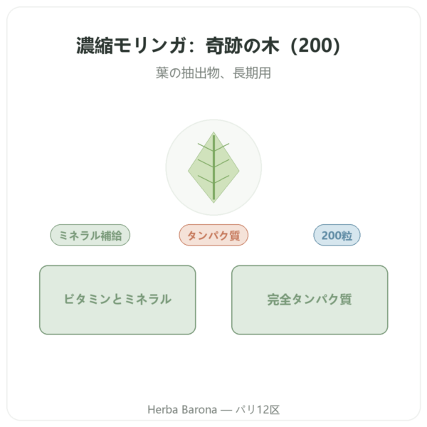モリンガ濃縮 300 mg – 200カプセル presentation Paris Herba Barona