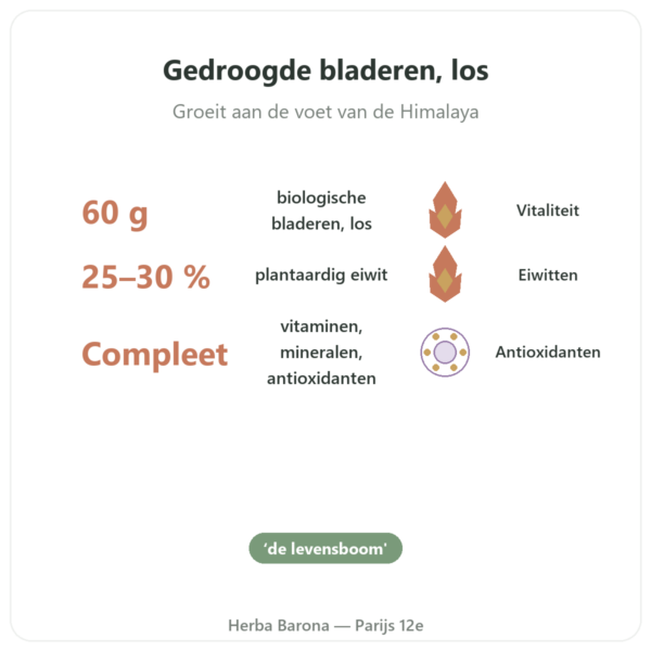 Moringa bio bladeren 60 g voordelen en kerngegevens Paris Herba Barona