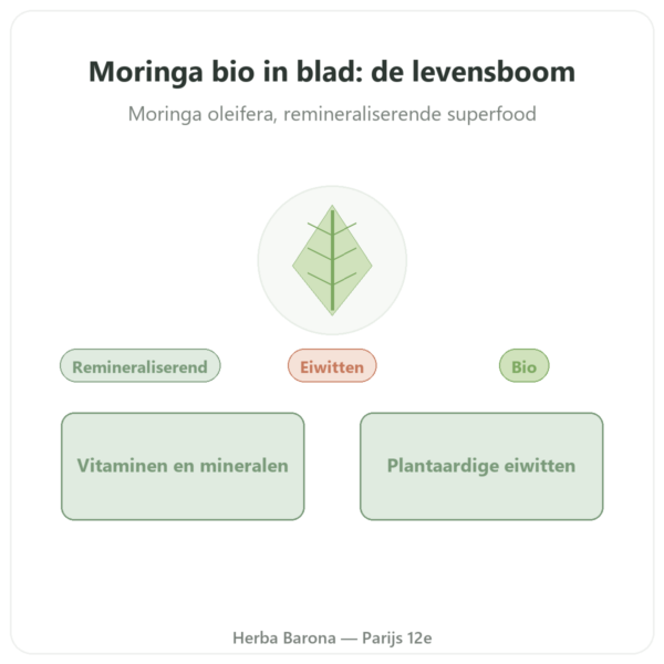 Moringa bio bladeren 60 g presentatie Paris Herba Barona