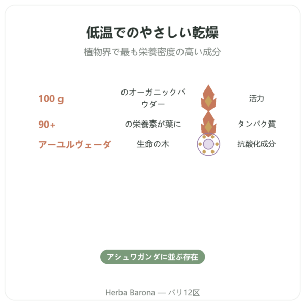 有機モリンガ粉末 100 g – Bioptimal – スーパーフード benefits and key facts Paris Herba Barona