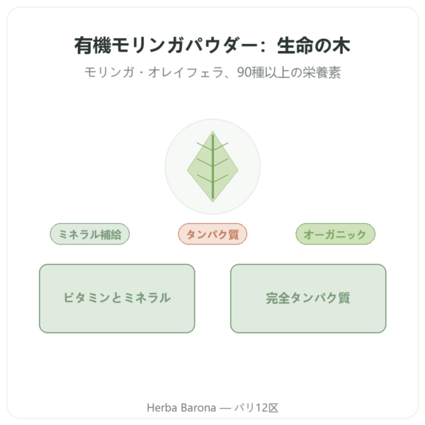 有機モリンガ粉末 100 g – Bioptimal – スーパーフード presentation Paris Herba Barona