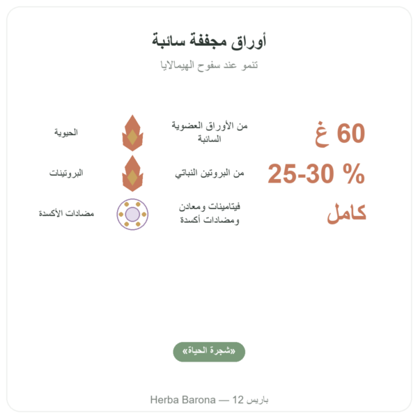 مورينغا عضوي أوراق 60 غ الفوائد والمعطيات الرئيسية Paris Herba Barona