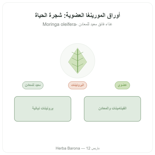 مورينغا عضوي أوراق 60 غ عرض المنتج Paris Herba Barona