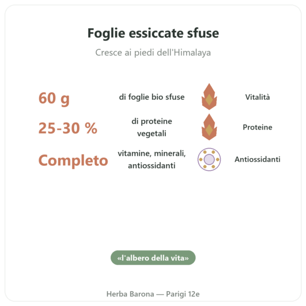 Moringa bio in foglie 60 g benefici e dati chiave Paris Herba Barona