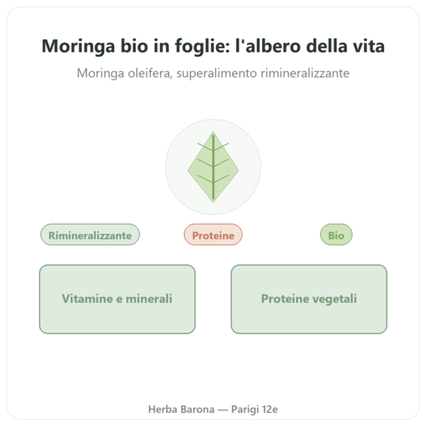 Moringa bio in foglie 60 g presentazione Paris Herba Barona