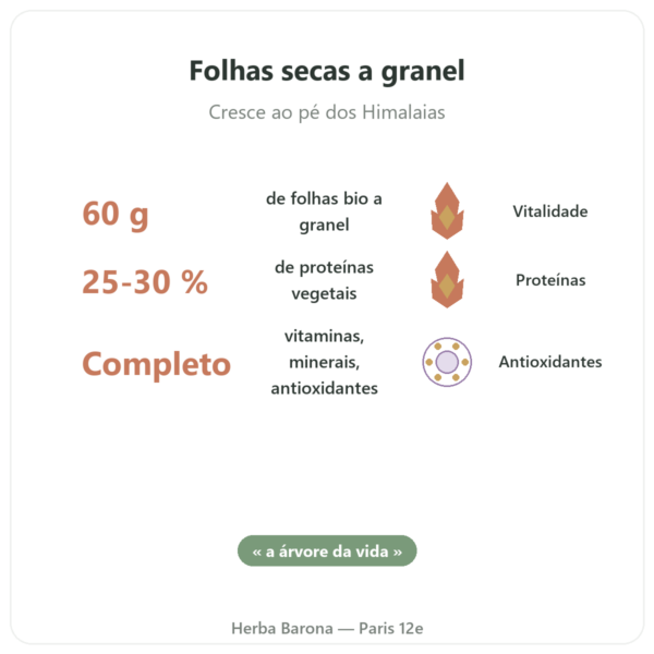 Moringa Bio em Folha – 60 g benefícios e dados principais Paris Herba Barona