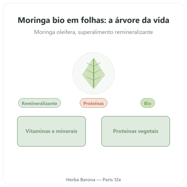 Moringa Bio em Folha – 60 g apresentação Paris Herba Barona
