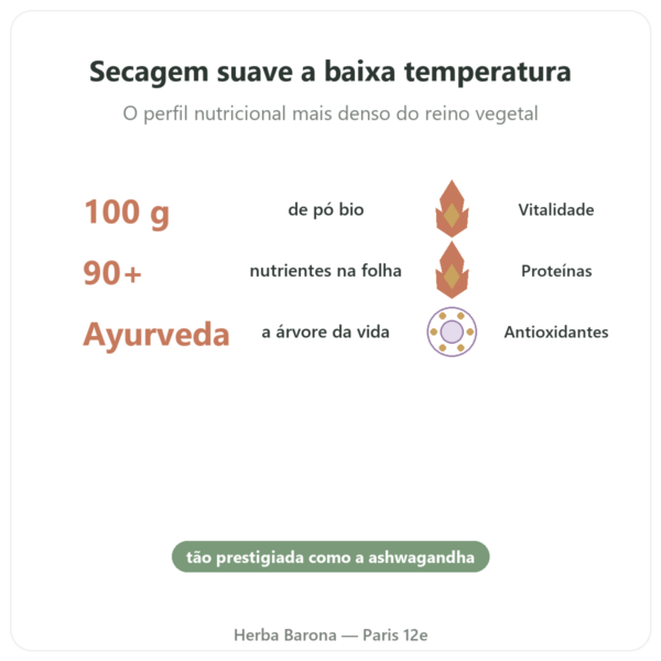 Moringa Bio em Pó 100 g – Bioptimal – Superalimento benefícios e dados principais Paris Herba Barona