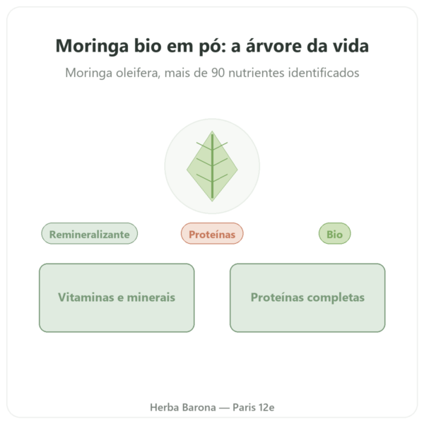Moringa Bio em Pó 100 g – Bioptimal – Superalimento apresentação Paris Herba Barona