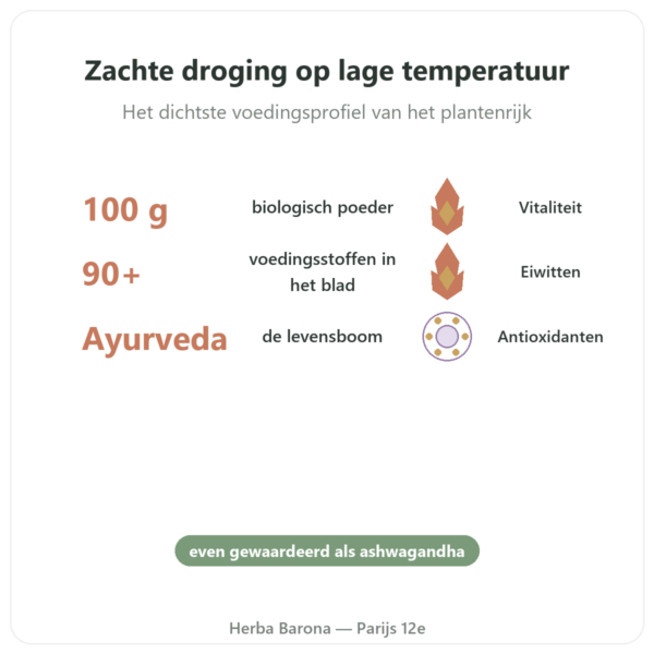 Moringa Bio poeder 100 g – Bioptimal – Superfood voordelen en kerngegevens Paris Herba Barona