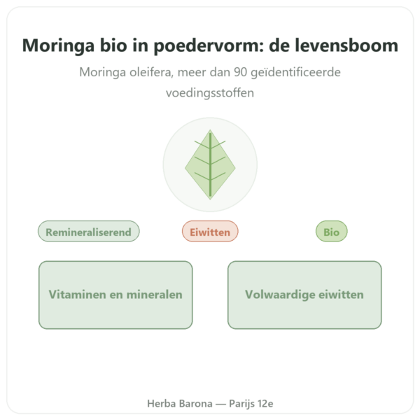 Moringa Bio poeder 100 g – Bioptimal – Superfood presentatie Paris Herba Barona